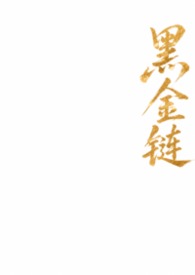 黑金链(1v1) 黑金链(1v1)